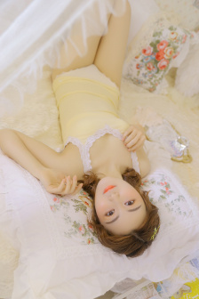 警花情妇王菲